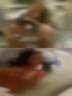 Wettest pussy the world